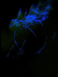 Images V. Franck